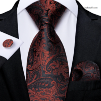 Luxury Black Red Paisley