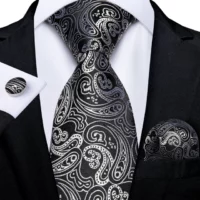 Luxury Black Silver Paisley