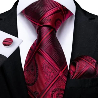 Luxury Dark Red Paisley