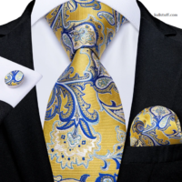 Luxury Yellow Blue Paisley