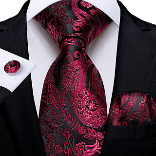 Luxury Black Red Paisley