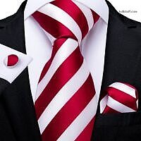 Luxury Red White Striped-V154