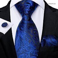 Luxury Blue Paisley