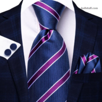 Luxury Blue Purple Striped-V172