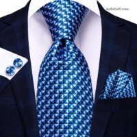 Luxury Blue White Plaid-V319