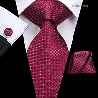 Luxury Red Plaid Dot necktie